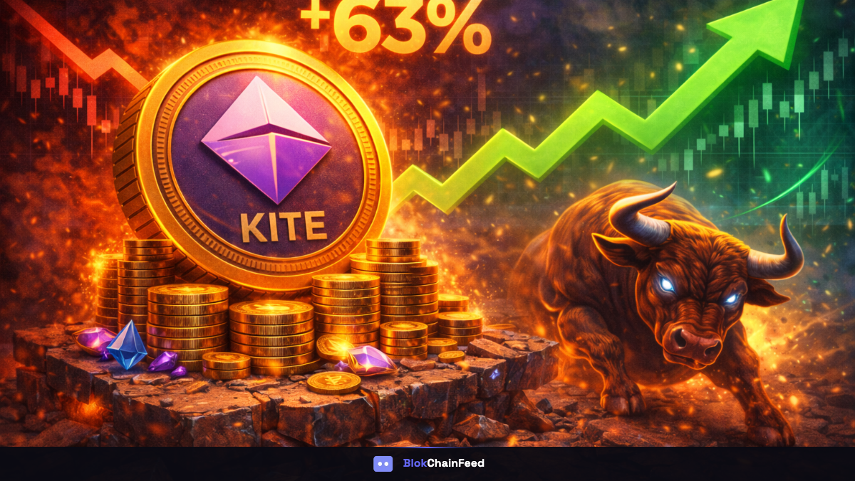 kite price